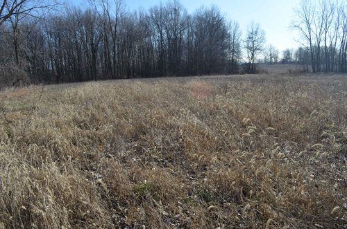 Property photo 7 - East Allen County - 55 Acre Land Auction